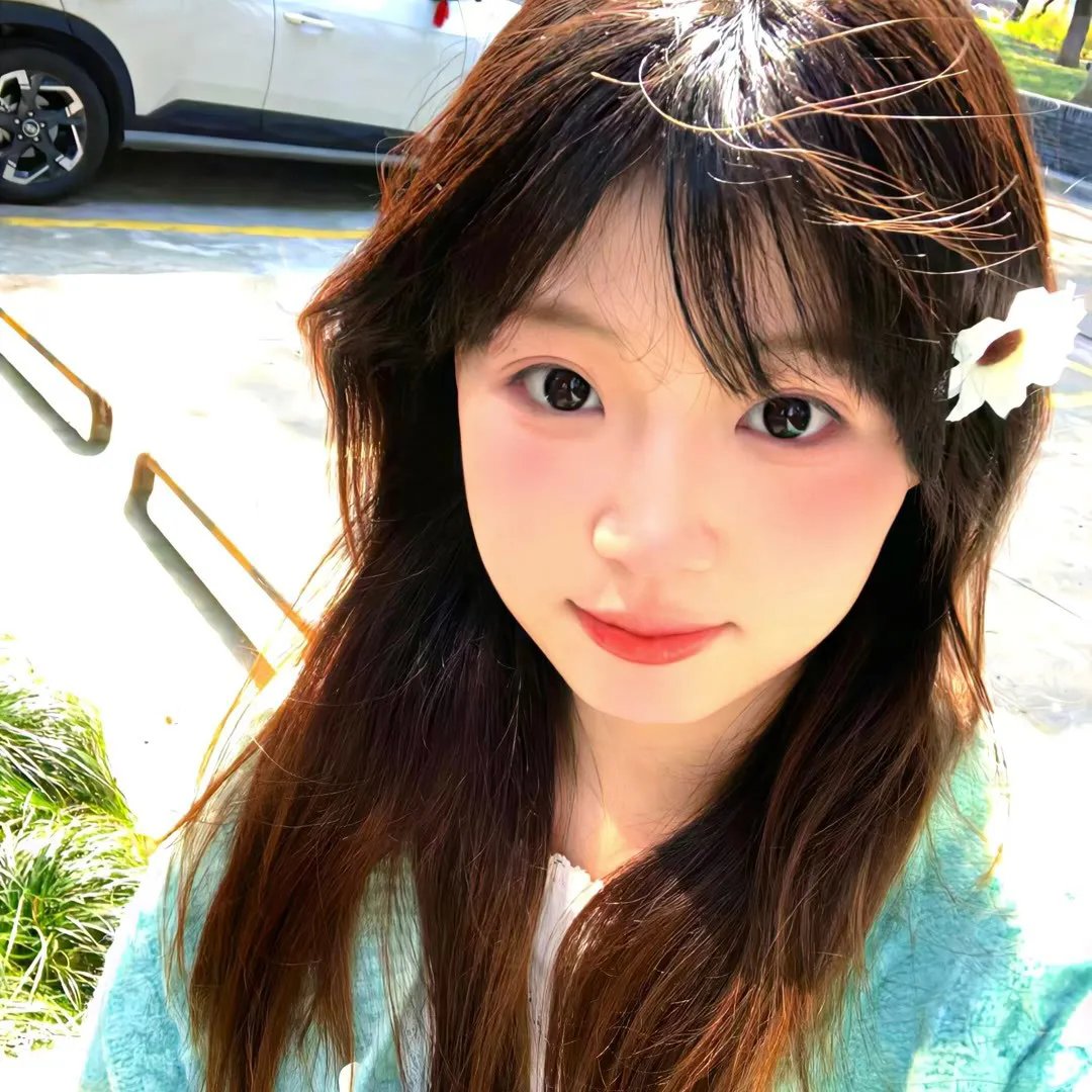 少数意见