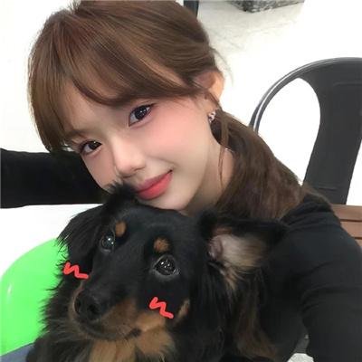 狐狸与我