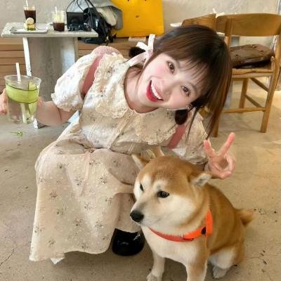 疯狂雷斯利